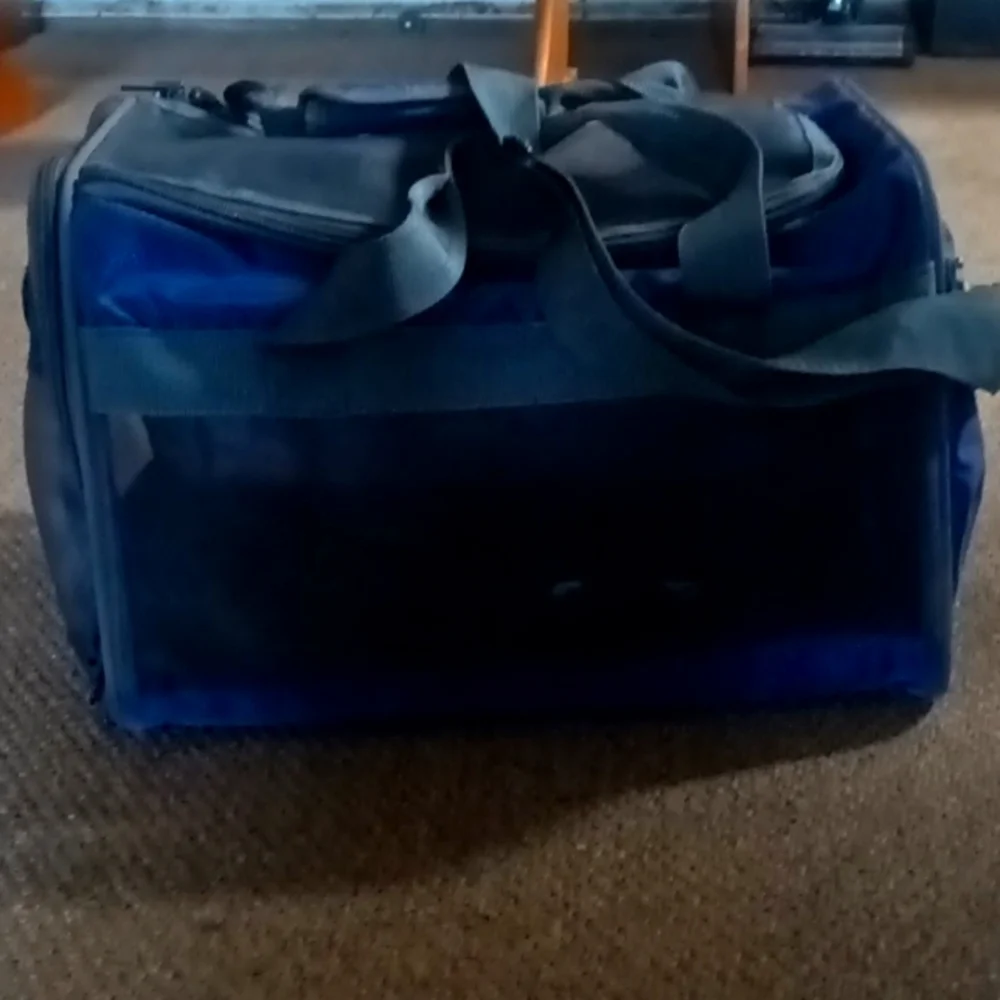 Cat bag